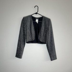 Vintage 90's Lurex Cropped/Mini Jacket, By Onyx Nite, Size 4